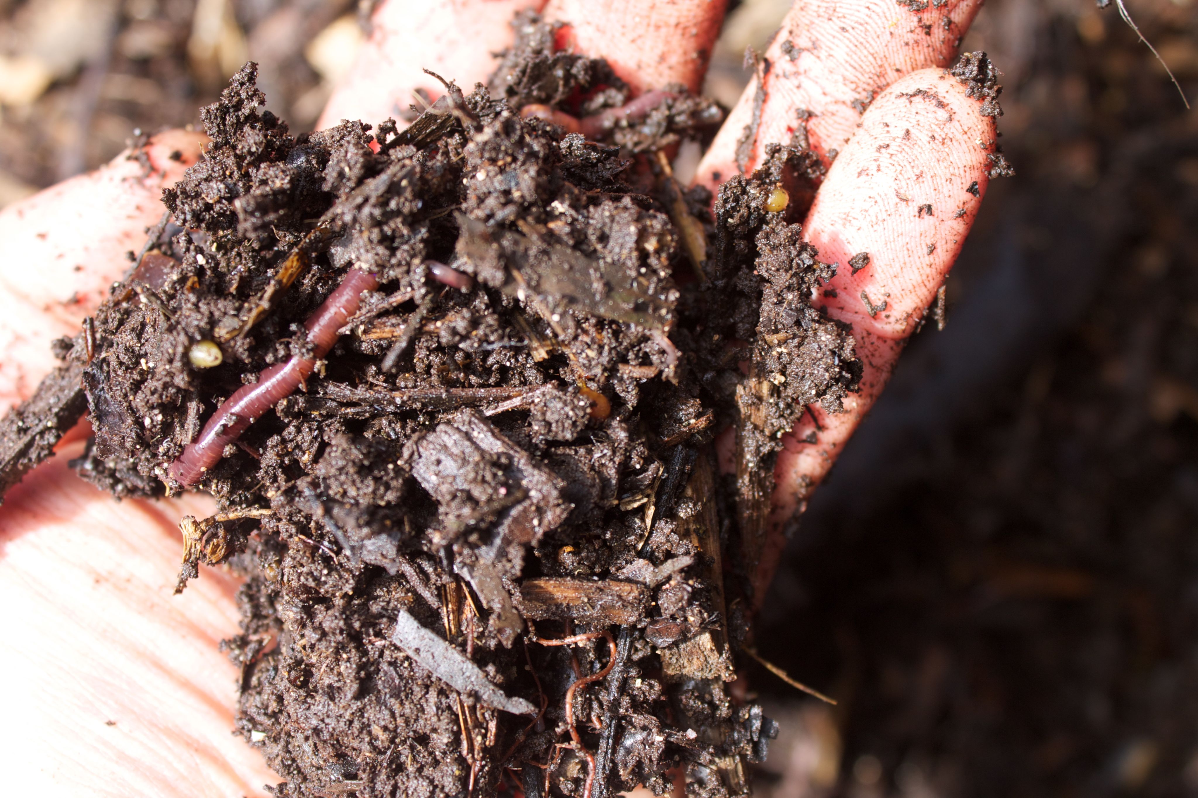 On Farm Composting